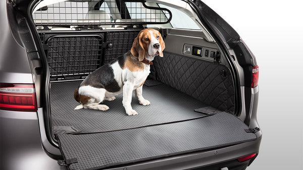 Jaguar dog accessories sale