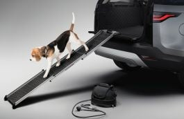 Discovery - Pet Care and Access Pack