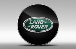 Discovery Sport - Wheel Centre Cap - Black finish