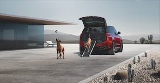 Range Rover Sport - Pet Care and Access Pack