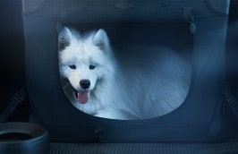 Range Rover Velar - Extended Pet pack