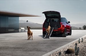 Range Rover Sport - Pet Pack
