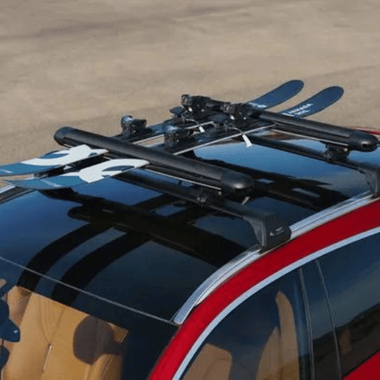 Ski Rack - Roof Mounted