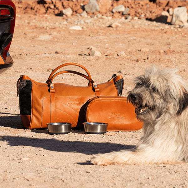 Dog Accessory Kit - Black – Grange Shop