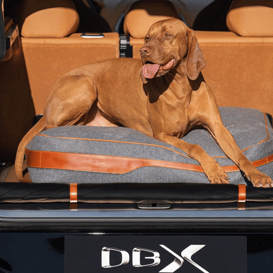 Dog Bed - Tan