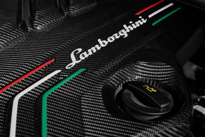 Lamborghini Urus Carbon Fibre Engine Bay