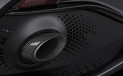 AMR Carbon Fibre Tailpipe Finishers