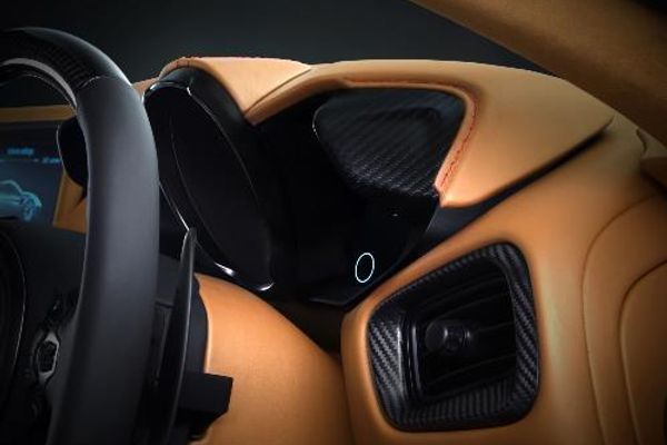 Carbon Fibre Interior Pack