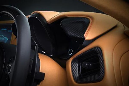 Carbon Fibre Interior Pack
