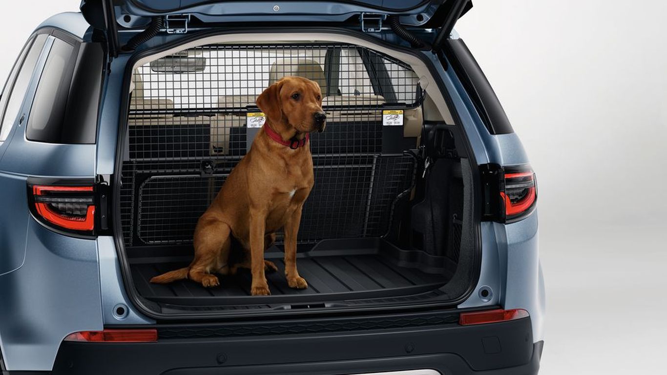 Loadspace Liner Tray - Luggage Divider