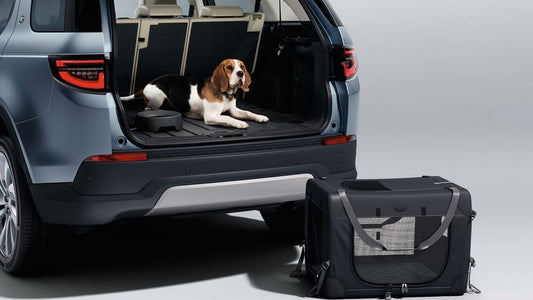 Pet Transportation Pack