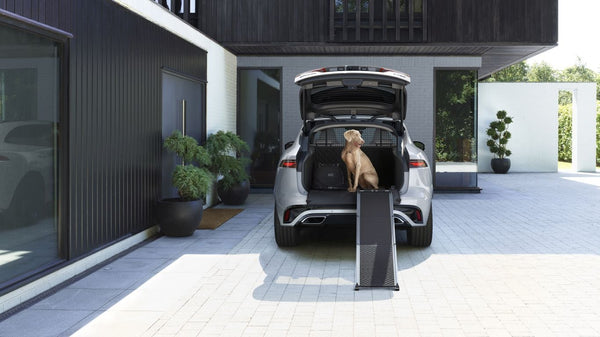 Pet Care and Access Pack, PHEV, 21MY onwards
