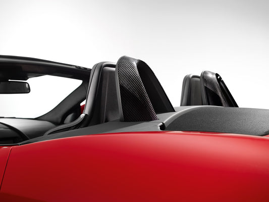 Silver Weave Carbon Fibre Roll Hoop Kit