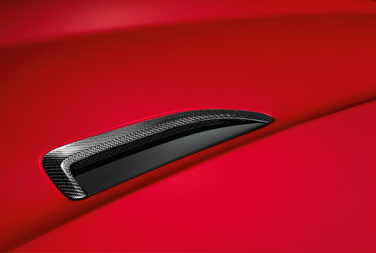 Bonnet Louvre Kit - Silver Weave Carbon Fibre