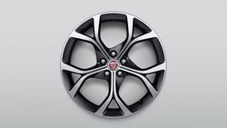 19" Style 5101, Diamond Turned with Gloss Black contrast, rear