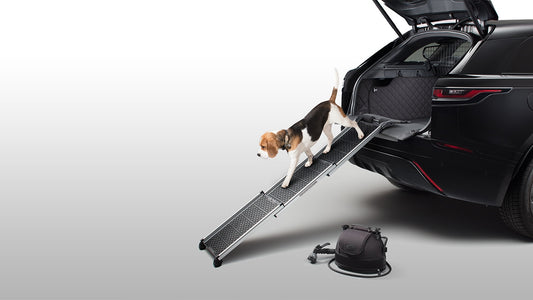 Pet Care and Access Pack, 21MY onwards