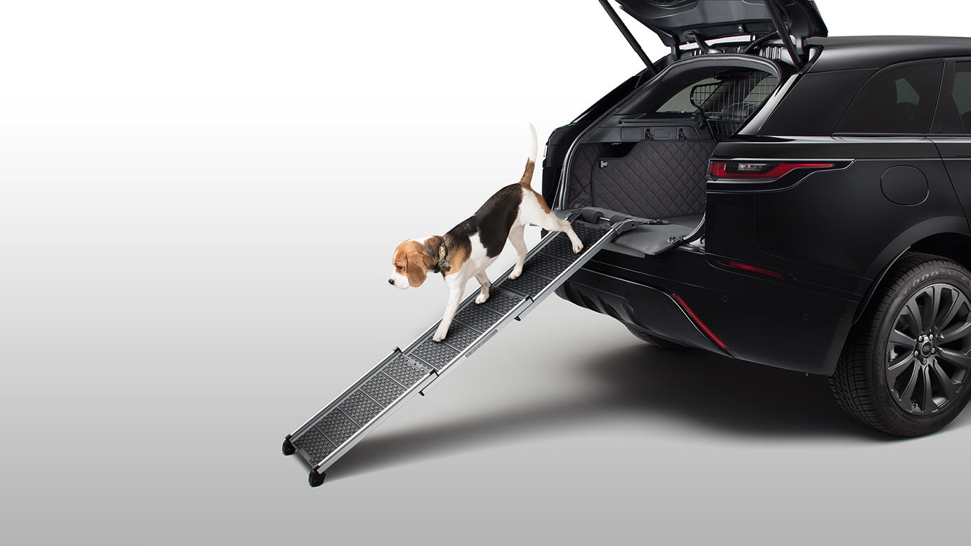 Pet Access Ramp