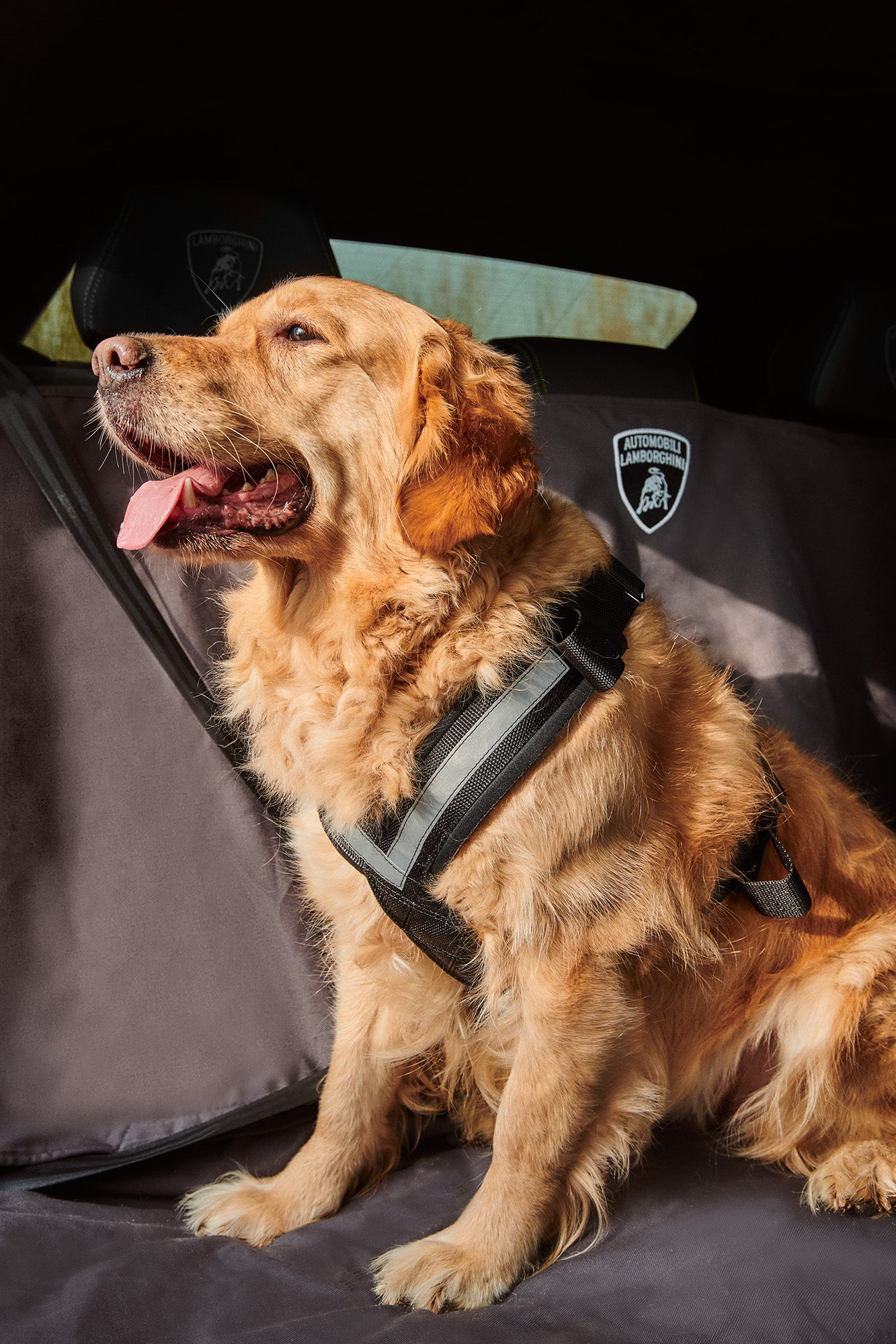 Lamborghini Urus Rear Seat Pet Protection