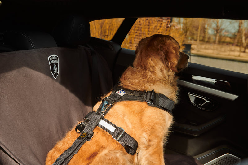 Lamborghini Urus Rear Seat Pet Protection