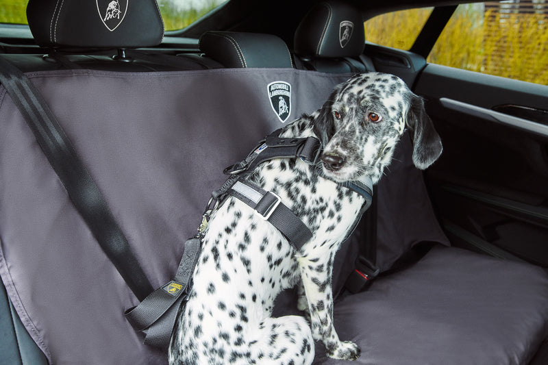 Lamborghini Urus Pet Seat Belt