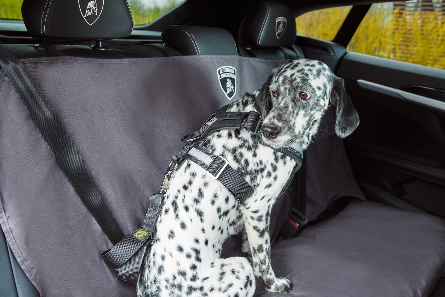 Lamborghini Urus Rear Seat Pet Protection