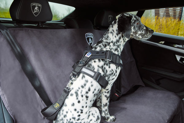Lamborghini Urus Pet Seat Belt