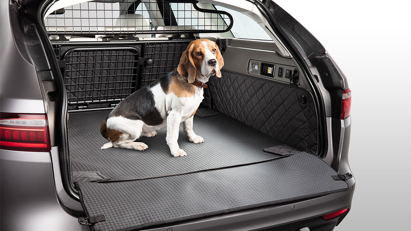 Pet Loadspace Protection Pack
